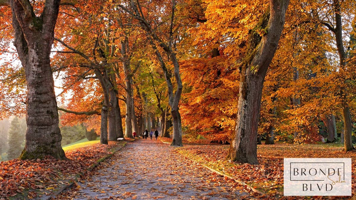 Summer to Fall Color Transition Guide-1 Summer to Fall Color Transition Guide