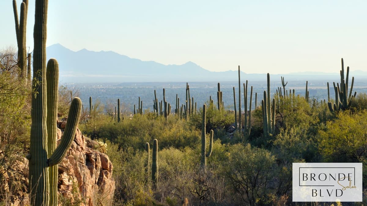 Understanding Moisture Balance in Arizona Summers-1 Understanding Moisture Balance in Arizona Summers