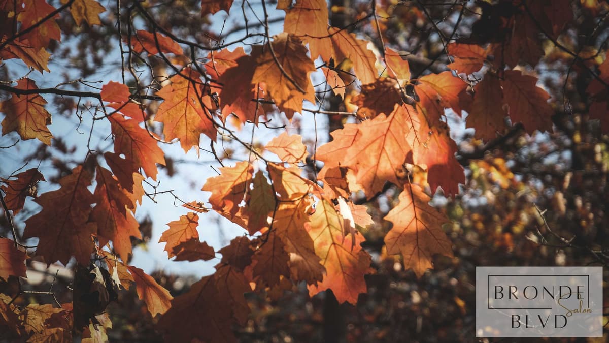 Protective Styles for Cooler Fall Weather-1 Protective Styles for Cooler Fall Weather