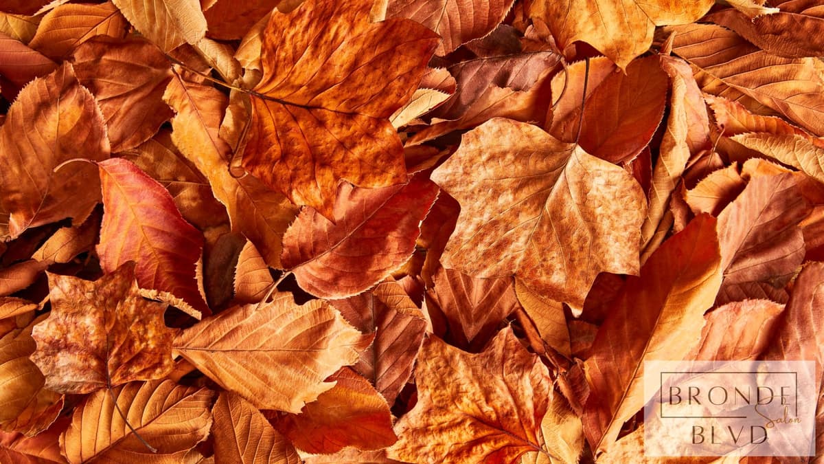 Fall Hair Color Trends: Rich Tones for the Season